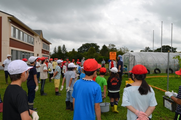 上春別小学校 上春タイム 畑活動 収穫の日 日々のできごと 上春別小学校 別海町立小 中学校 幼稚園ブログ