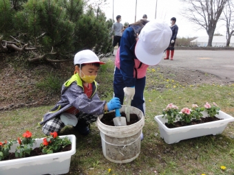 心豊かな子どもを育てるために 人権の花 みどりネットワークの花 行事 上風連小学校 別海町立小 中学校 幼稚園ブログ