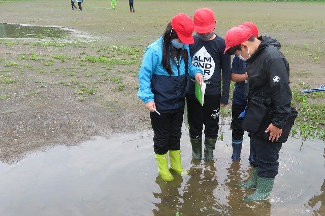 雨水の行方と地面の様子 nhk – 流れる水と地面の様子 – GHKXEW