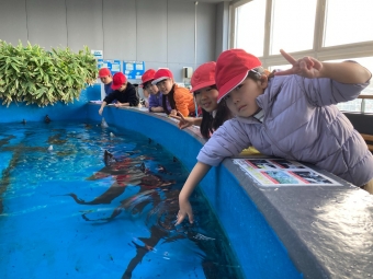 館内見学～チョウザメ指パク体験～